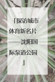 探访城市体育新名片——沈阳国际泵道公园